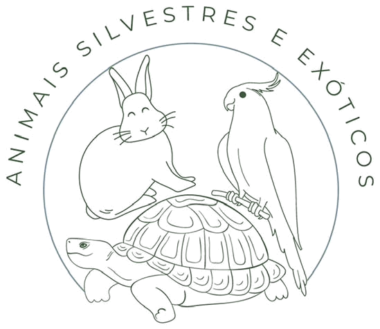 Logo Lucas Roque
