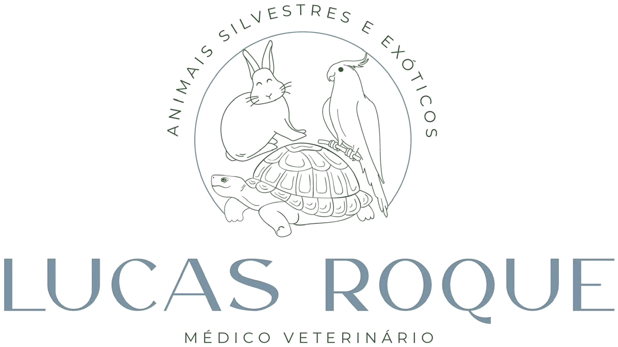 Lucas Roque · Médico Veterinário